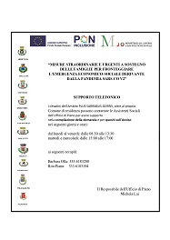 Attivazione servizio di supporto telefonico - Misure straordinarie e urgenti a sostegno delle famiglie per fronteggiare l'emergenza economico - sociale derivante dalla pandemia SARS-CO V2