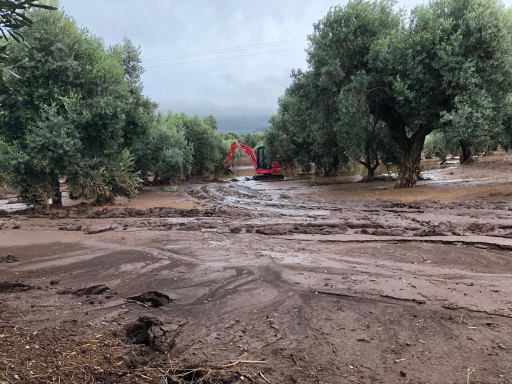 Eventi alluvionali di ottobre 2018: contributi a aziende agricole FASE II: Termini di presentazione delle domande.